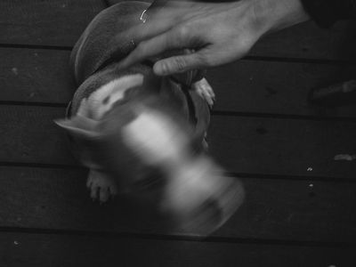 Abstract motion blur of hands moving
