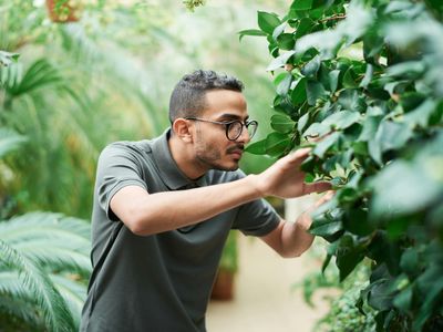 Green plants near a window with soft focus